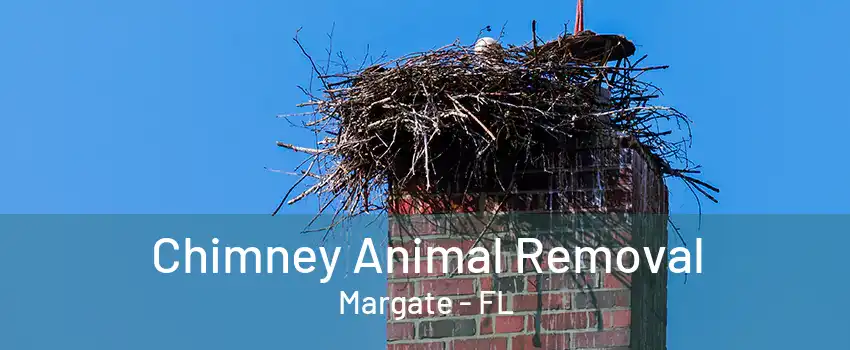 Chimney Animal Removal Margate - FL