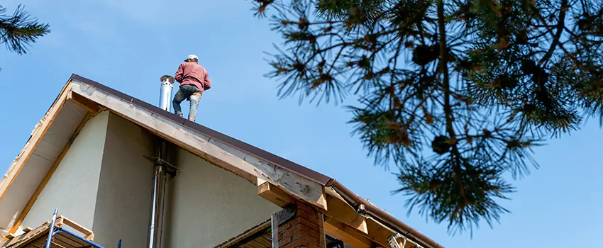 Birds Removal Contractors from Chimney in Margate, FL